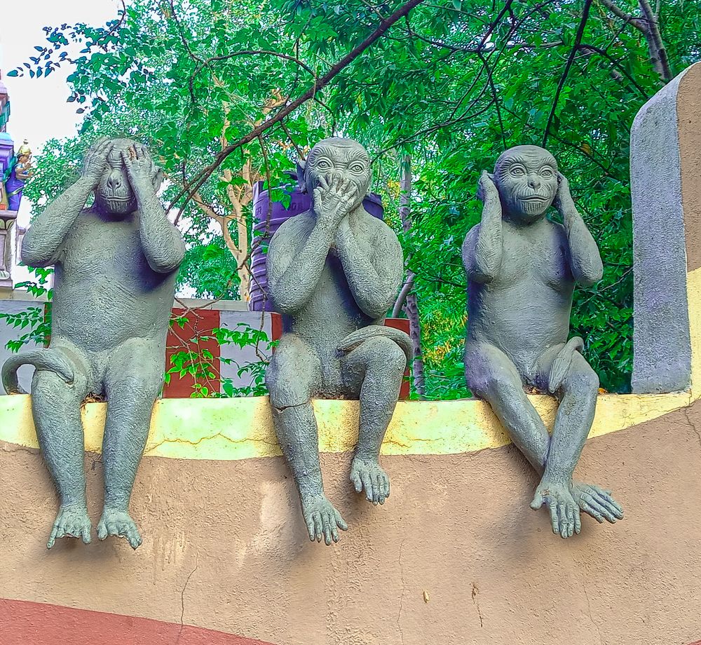 MAXIM - THE THREE WISE MONKEYS