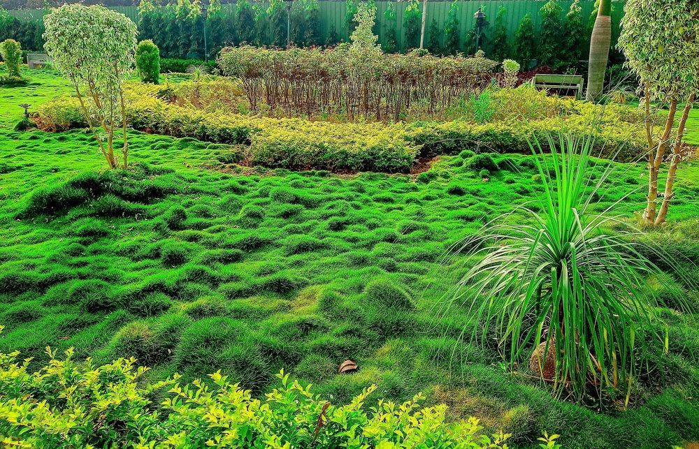 WONDER OF WANDERLUST