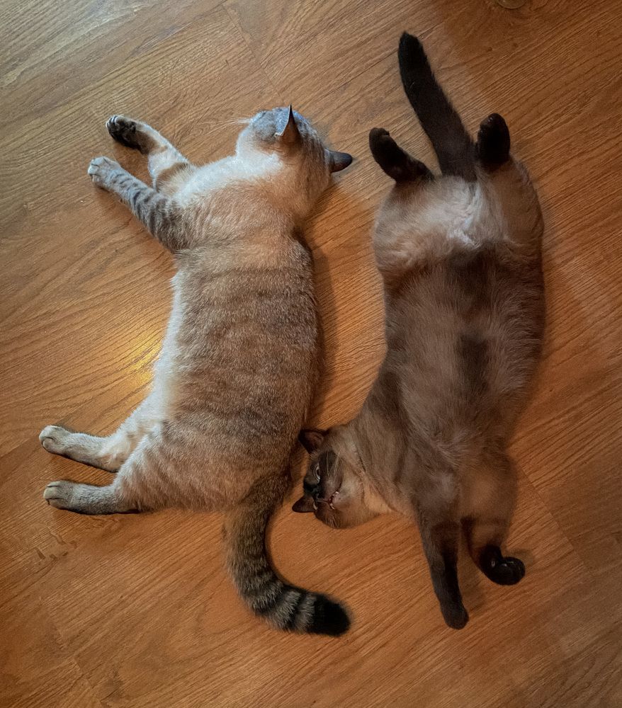 Photograph by Екатерина Николаева