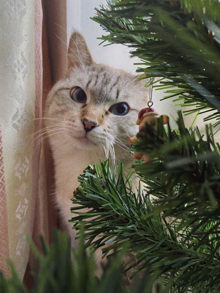 Photograph by Екатерина Николаева