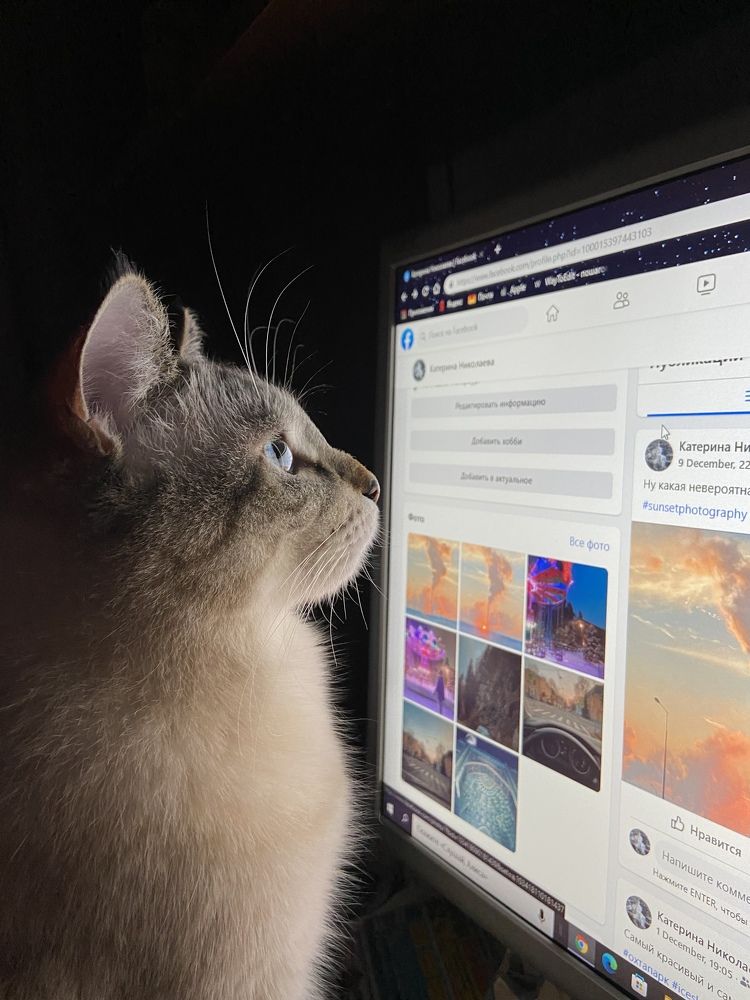 Photograph by Екатерина Николаева