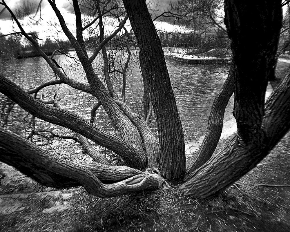 BY THE POND / У ПРУДА