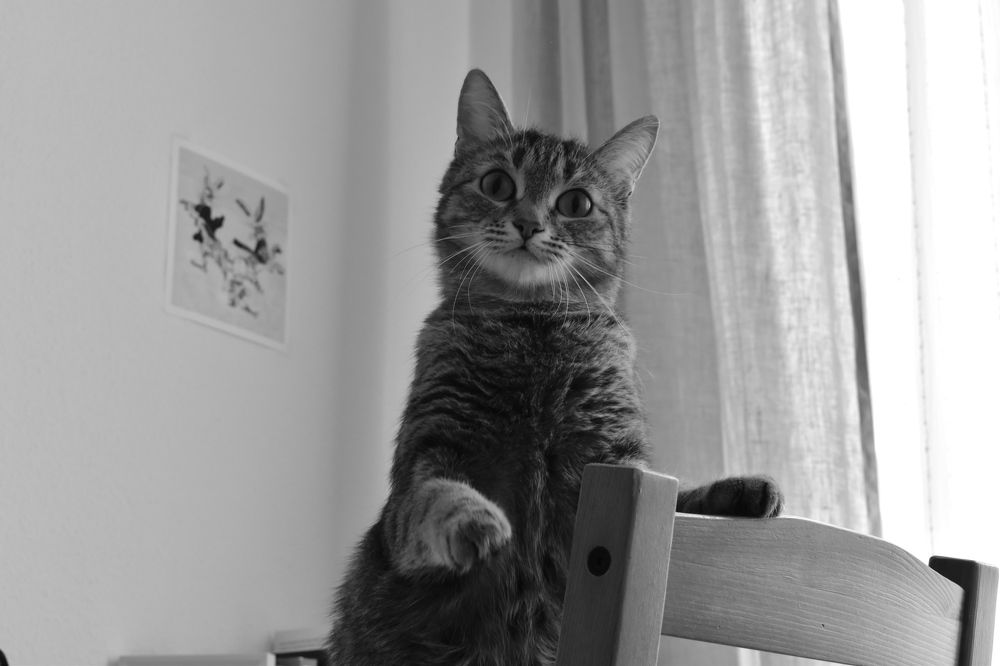 Photograph by Anna Bogdanova
