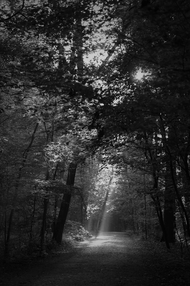 Photograph by Viktoria Vavilkina