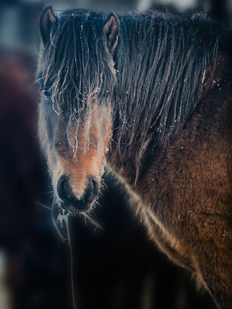 Photograph by Наталья Кокорина