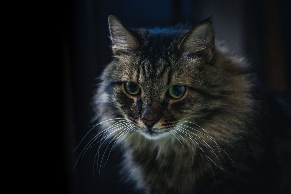 Photograph by Николай Стрельников