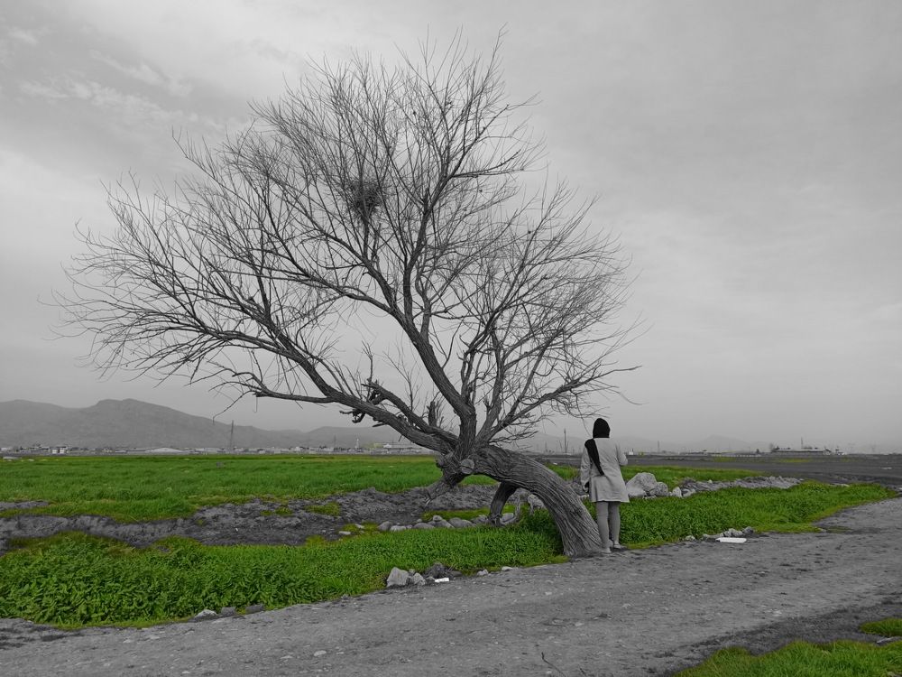 Photograph by Asma Rashidi