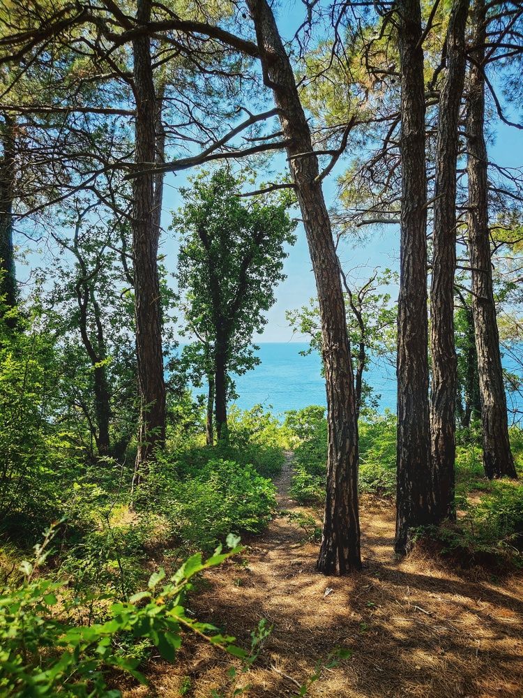 Photograph by Николай Стрельников