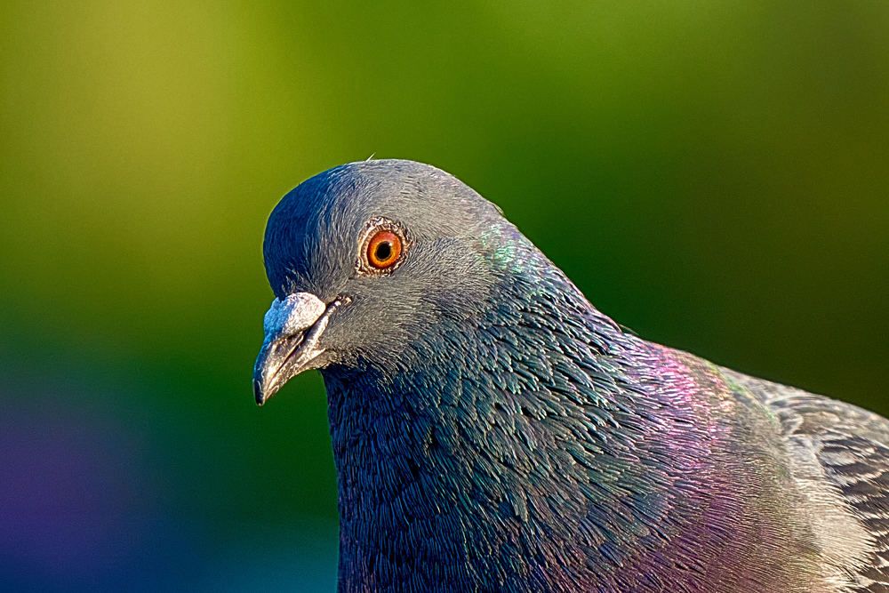 Photograph by Андрей Халемонец