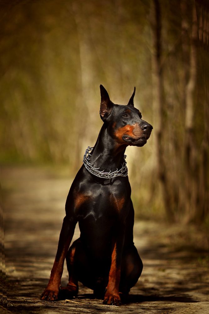 Photograph by Ольга Левина