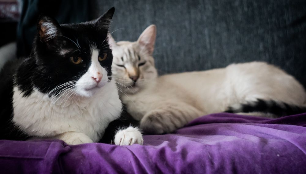 Фотография автора Вагуро Евгений