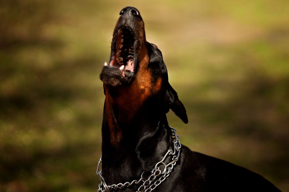 Photograph by Ольга Левина