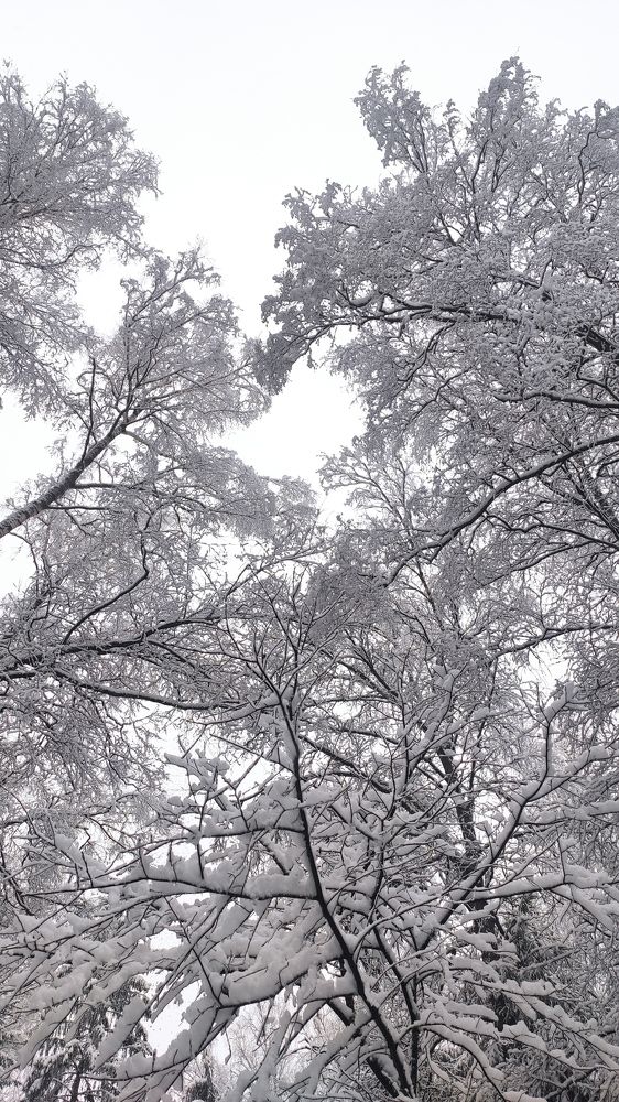 Photograph by Natalia Persidskaia