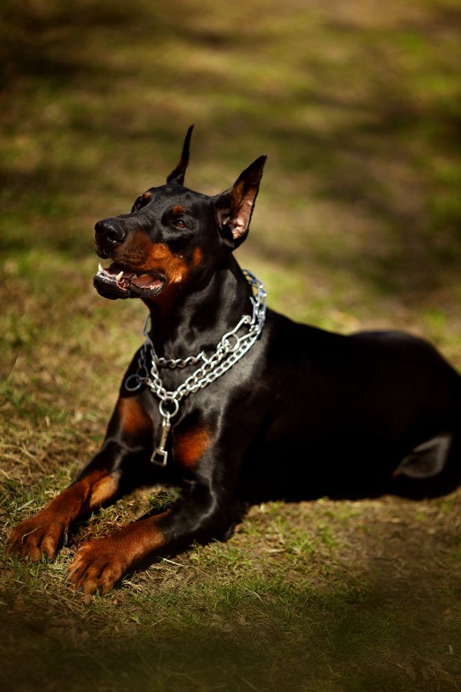 Photograph by Ольга Левина