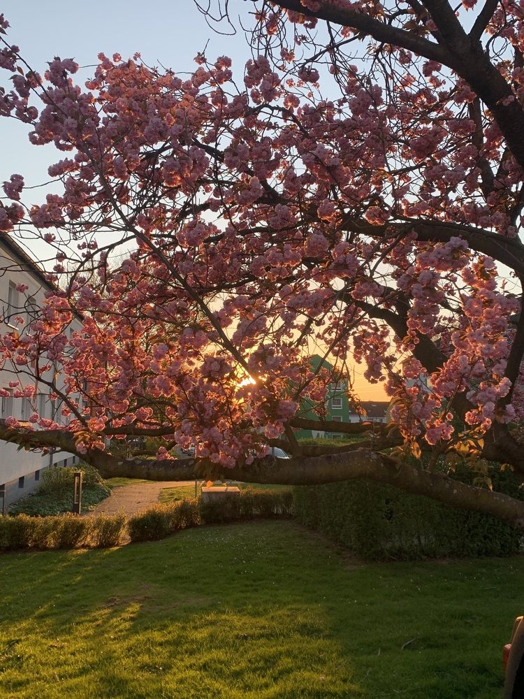 Photograph by Vitalii Kaznin