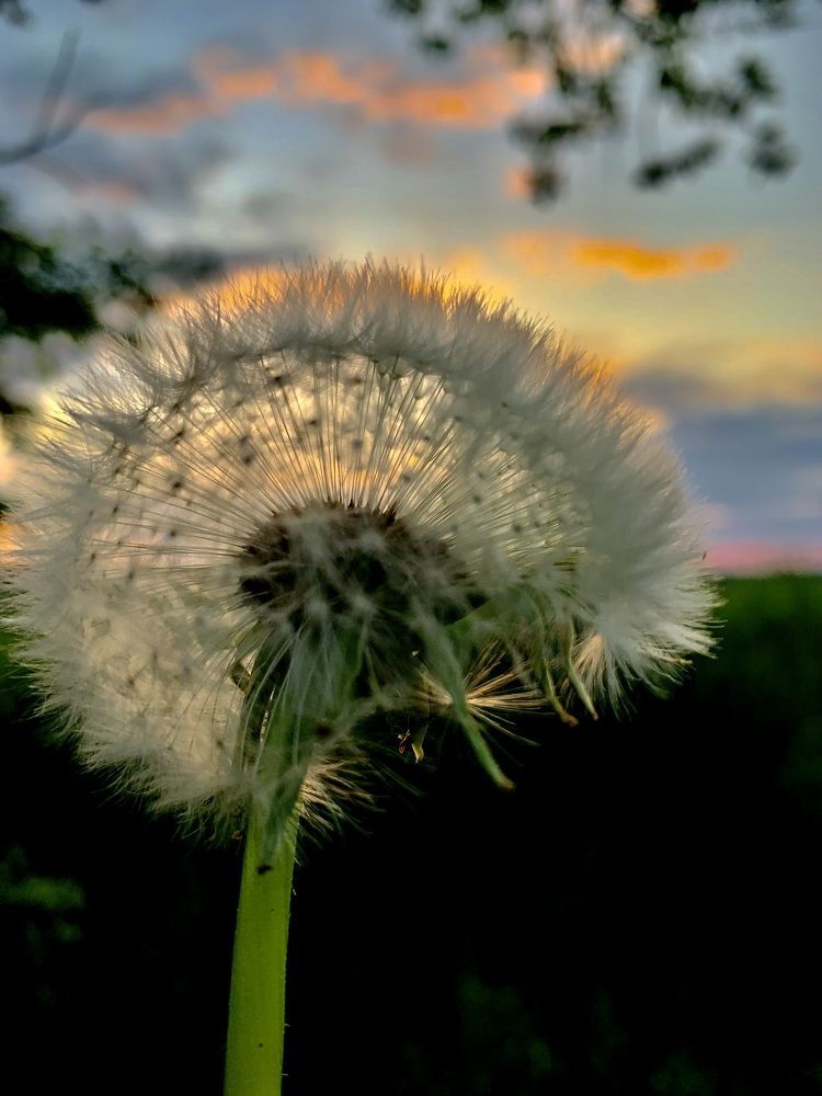 Photograph by Vitalii Kaznin