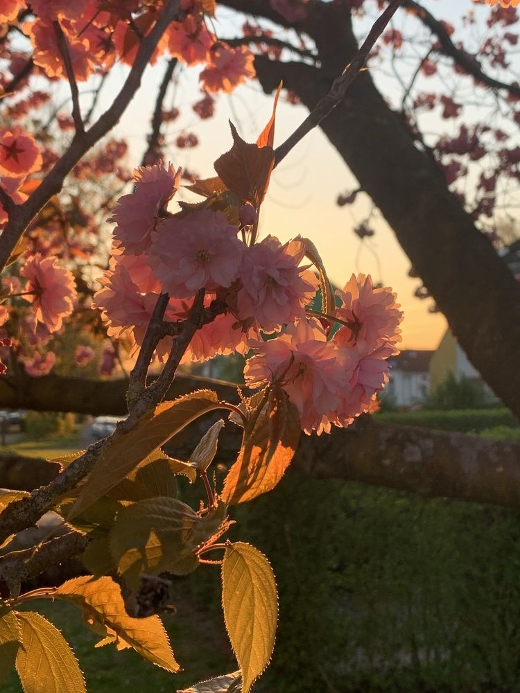 Photograph by Vitalii Kaznin