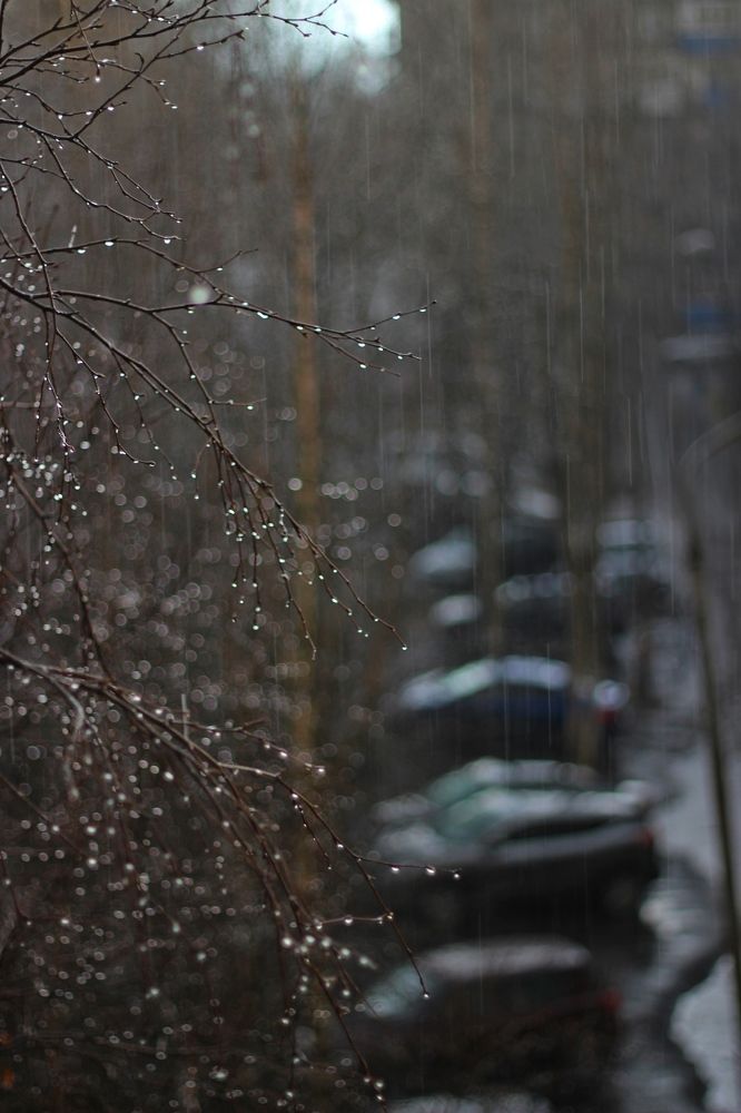 Photograph by Елена Петрова