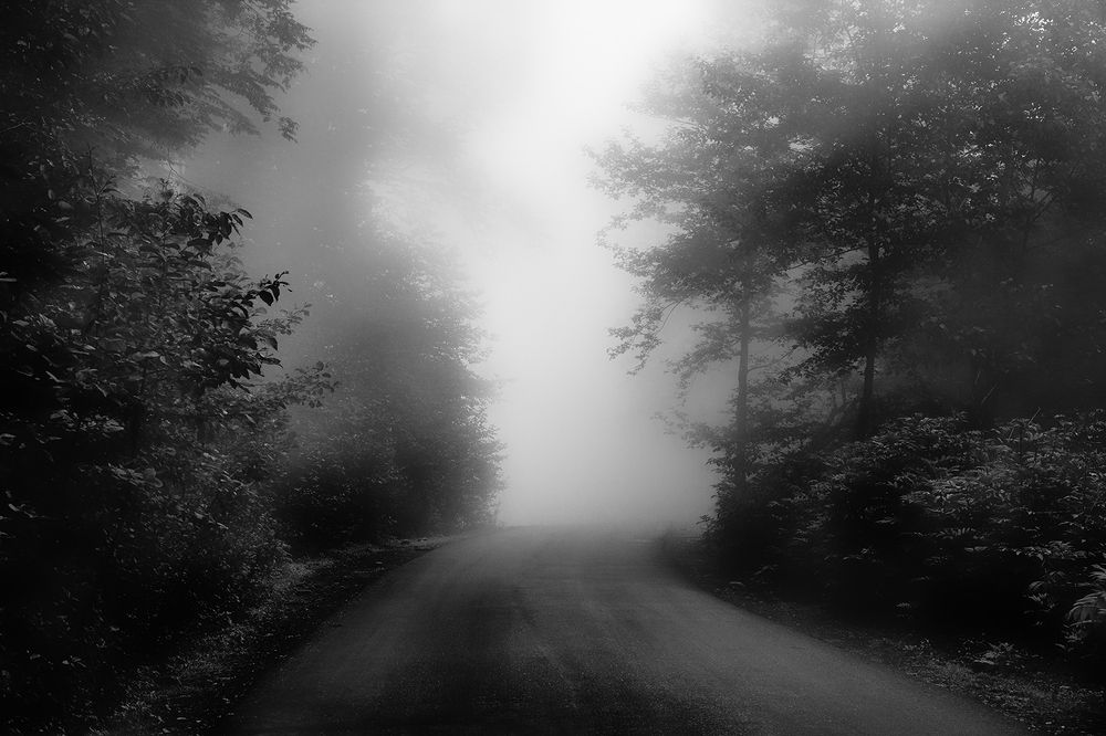 Photograph by Hengameh pirooz