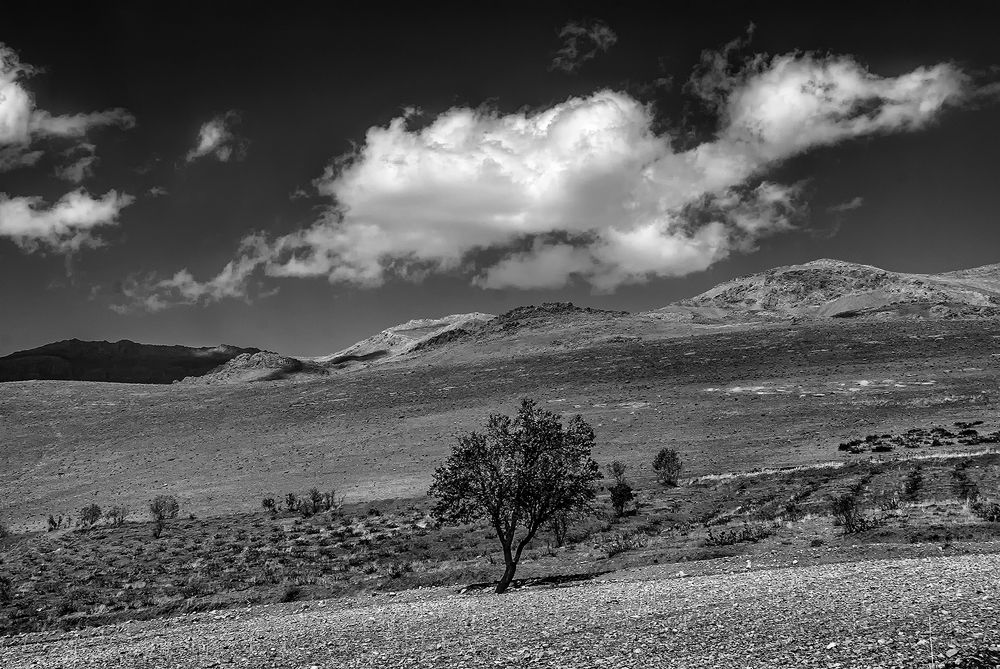 Photograph by Hengameh pirooz