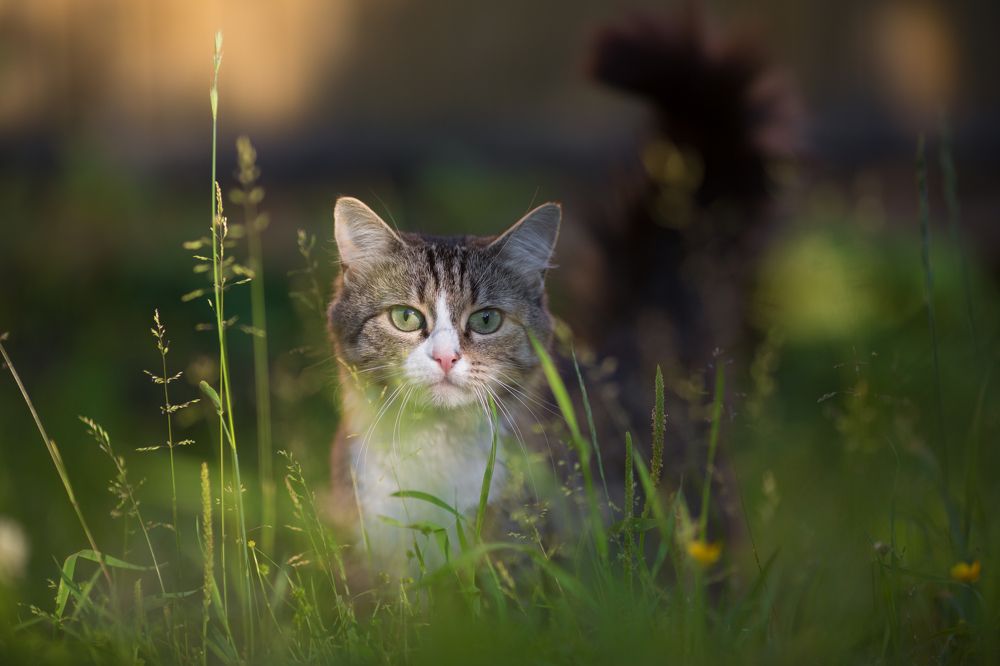 Photograph by Светлана Богачева