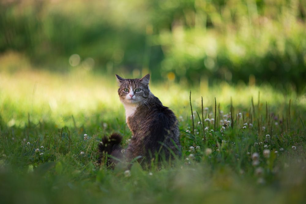 Photograph by Светлана Богачева