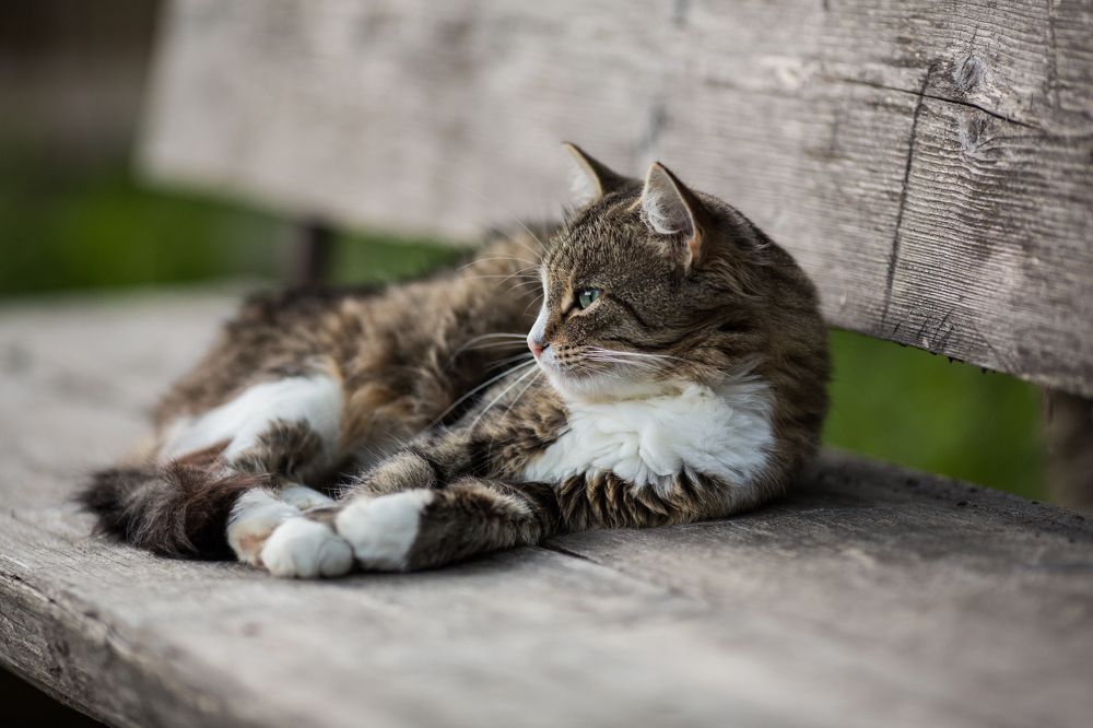 Photograph by Светлана Богачева