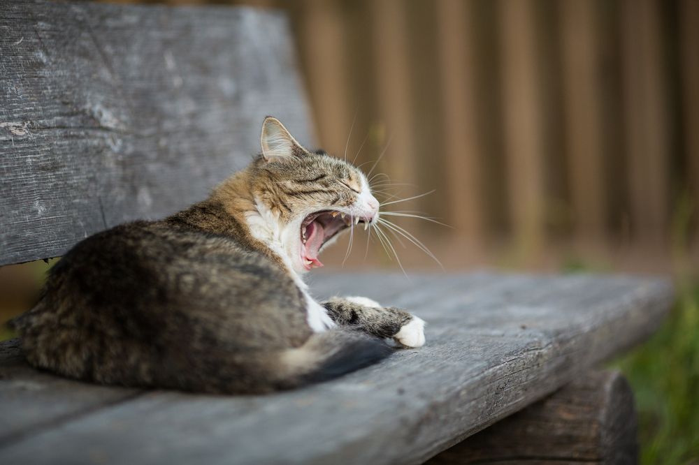 Photograph by Светлана Богачева