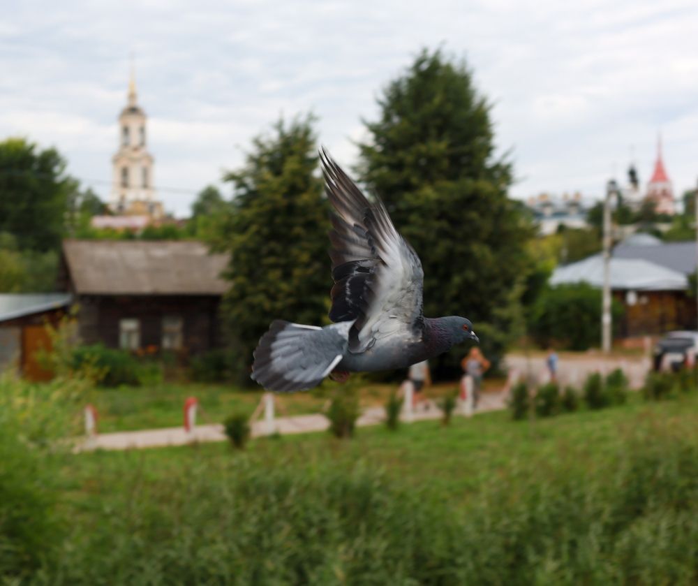 Фотография автора Ольга Варварич