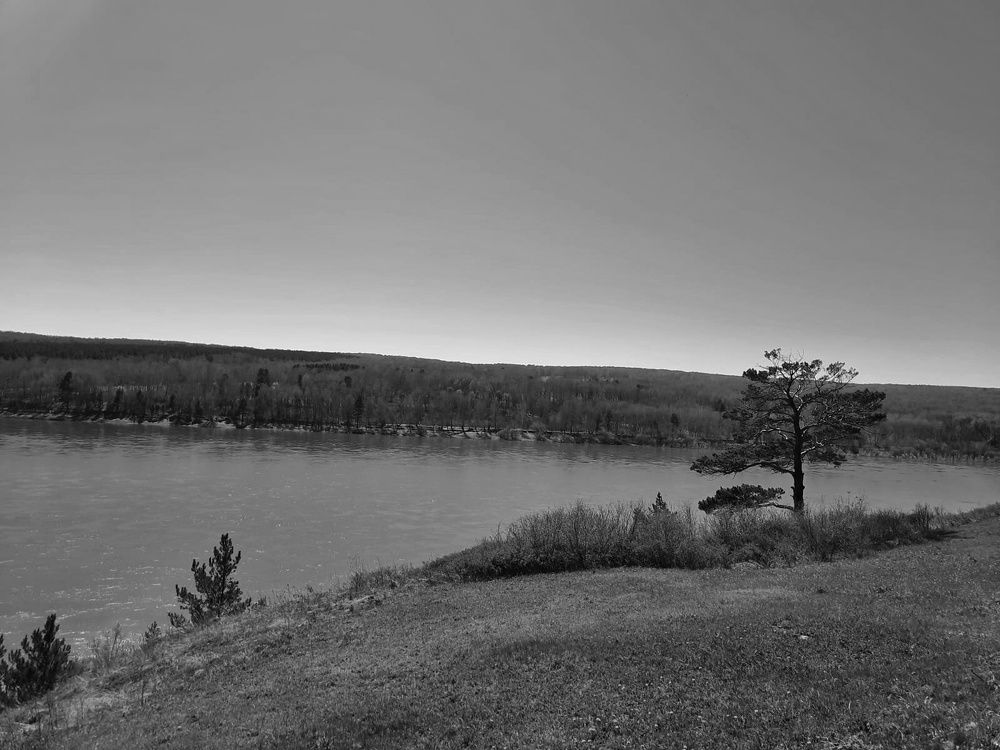 Photograph by Валентина Ильиных