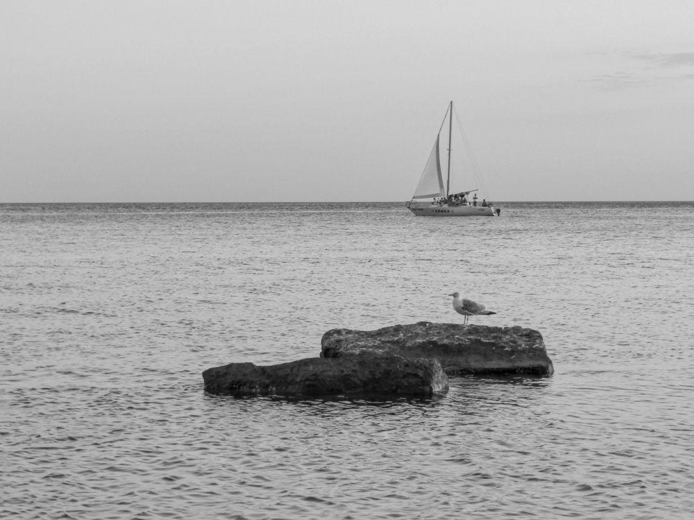 Photograph by Татьяна Сурова