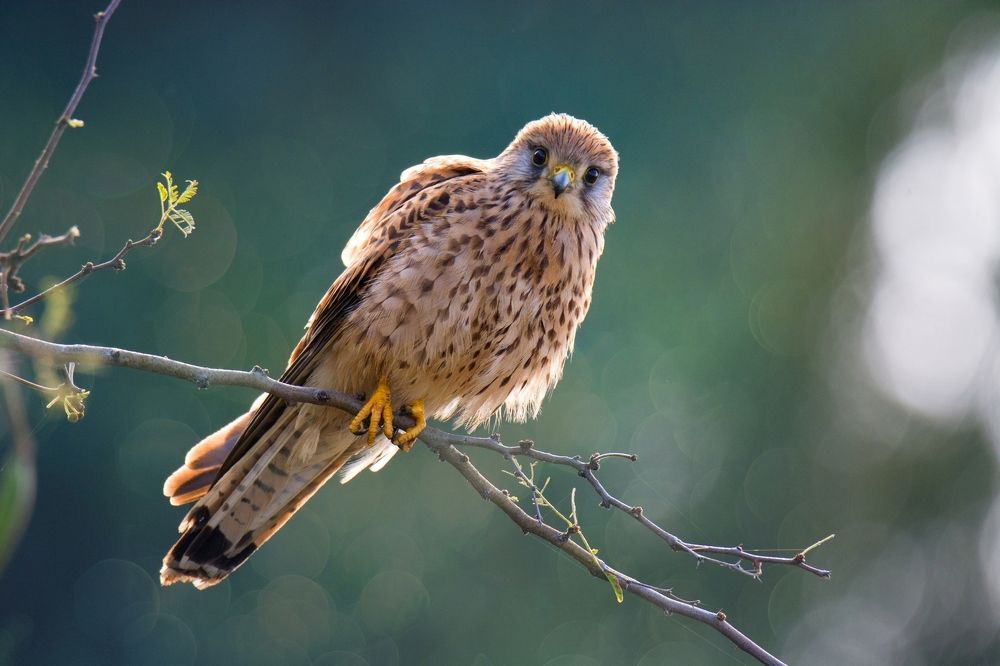 Photograph by Людмила Бекман