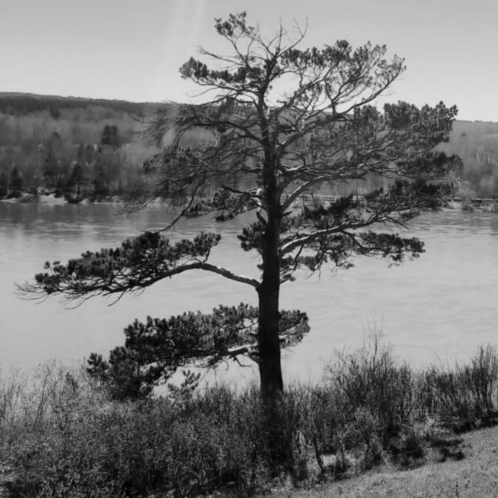 Photograph by Валентина Ильиных