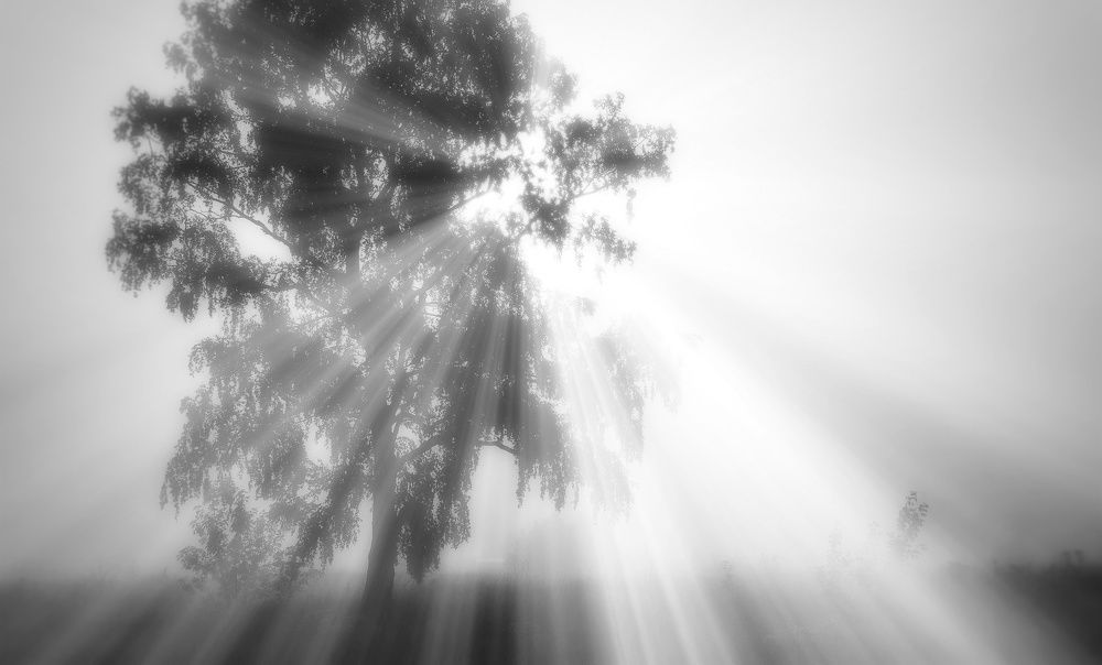 Photograph by Рымаров Александр