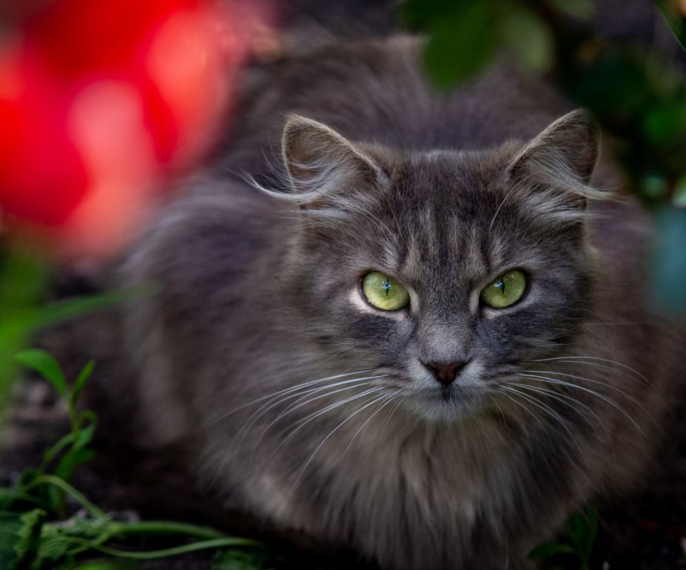 Photograph by Ирина Крепак