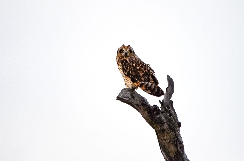 Photograph by Вероника Романенко