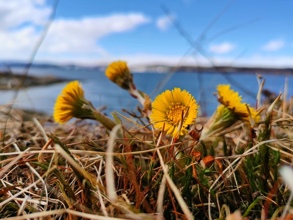 Photograph by Елена