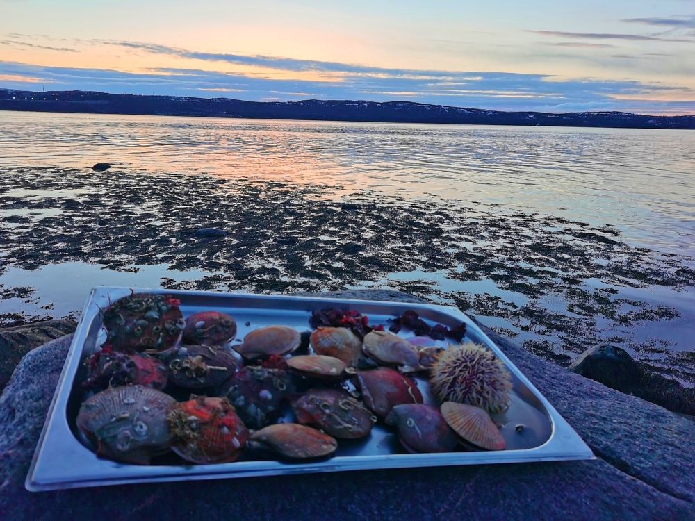 Photograph by Елена