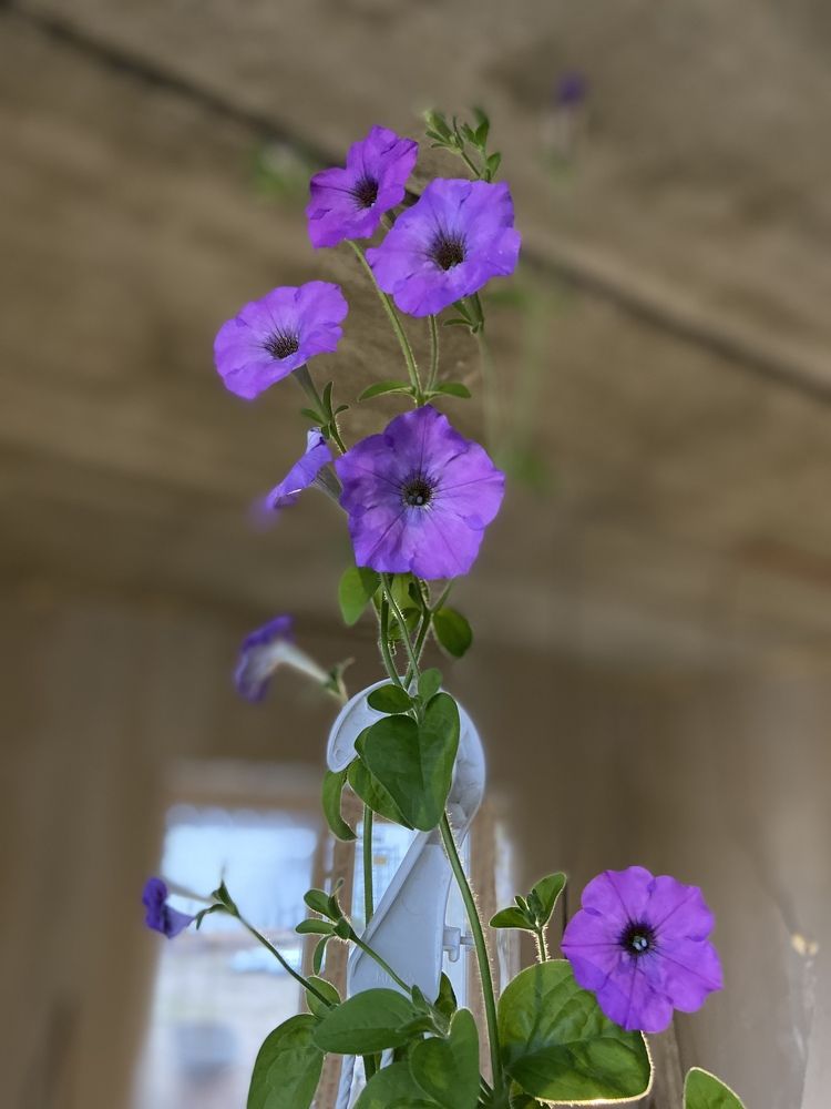 Photograph by Юлия Зеленева