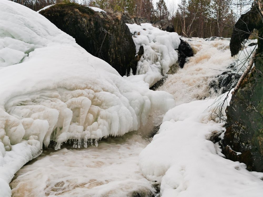 Photograph by Елена