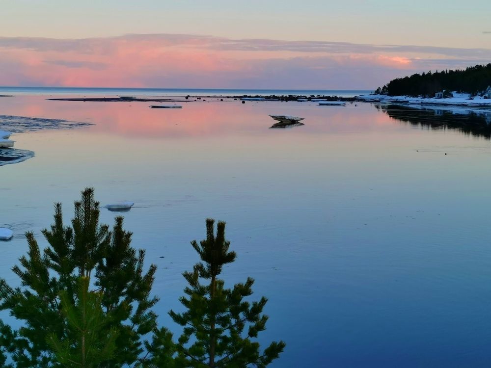 Photograph by Елена