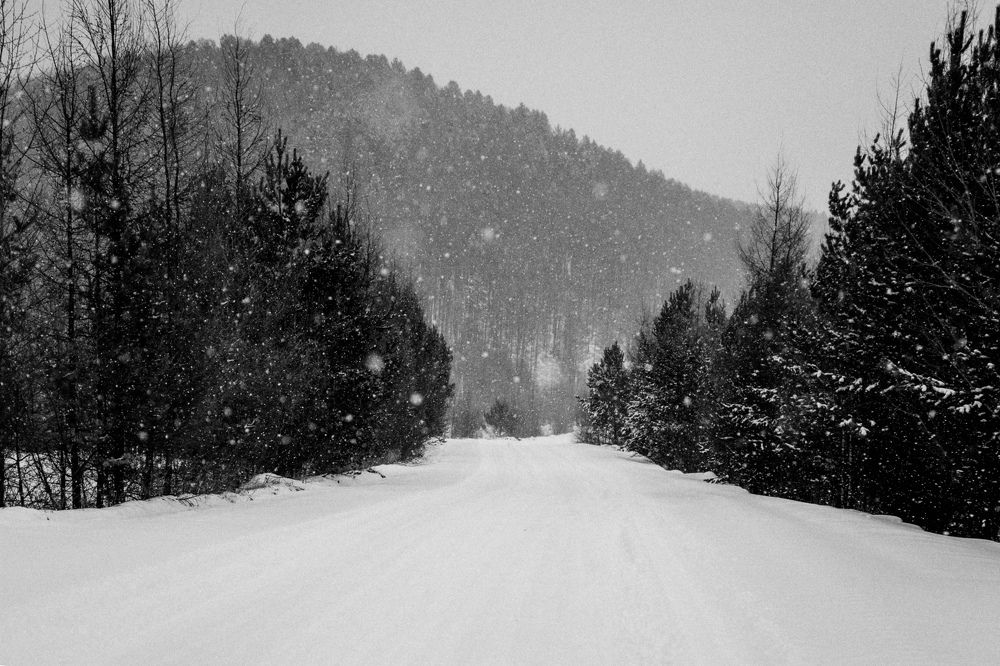 Photograph by Лия Онохова