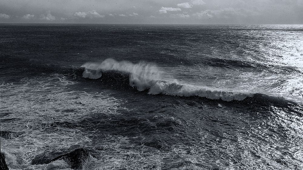 Photograph by Виталий Павлов