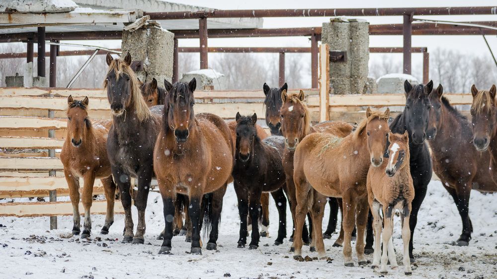 Photograph by Наталья Кокорина