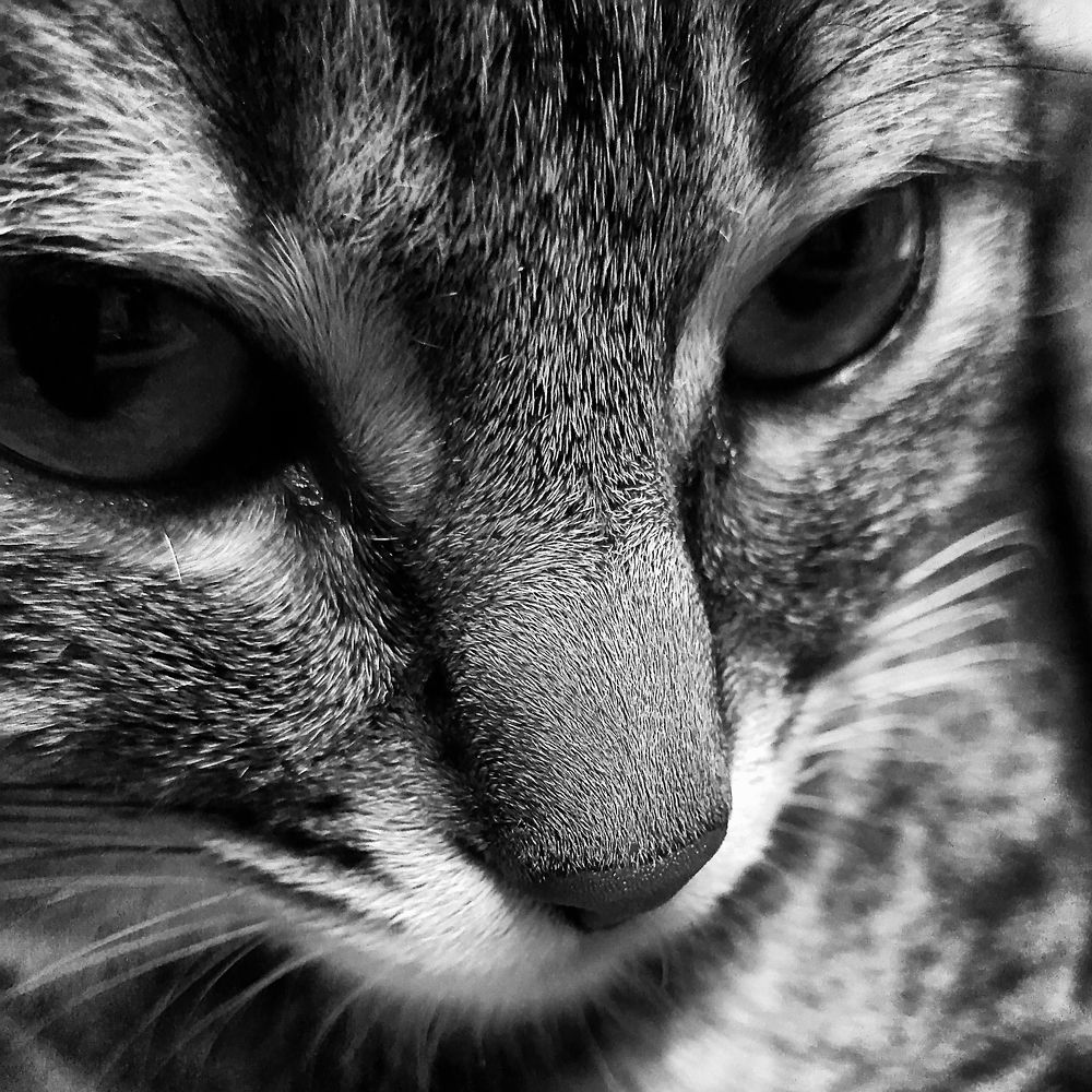 Photograph by Виталий Павлов