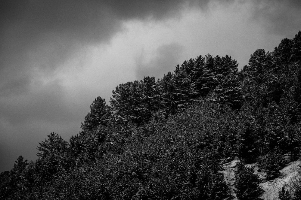 Photograph by Лия Онохова