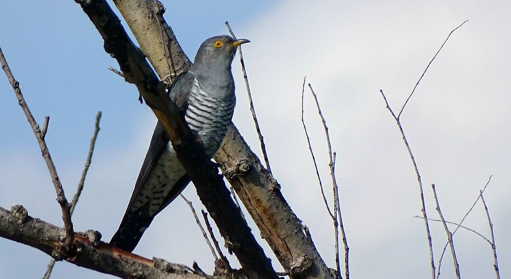 Photograph by Alex Kalpus