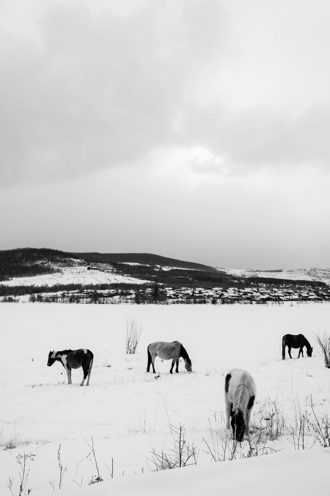 Photograph by Лия Онохова