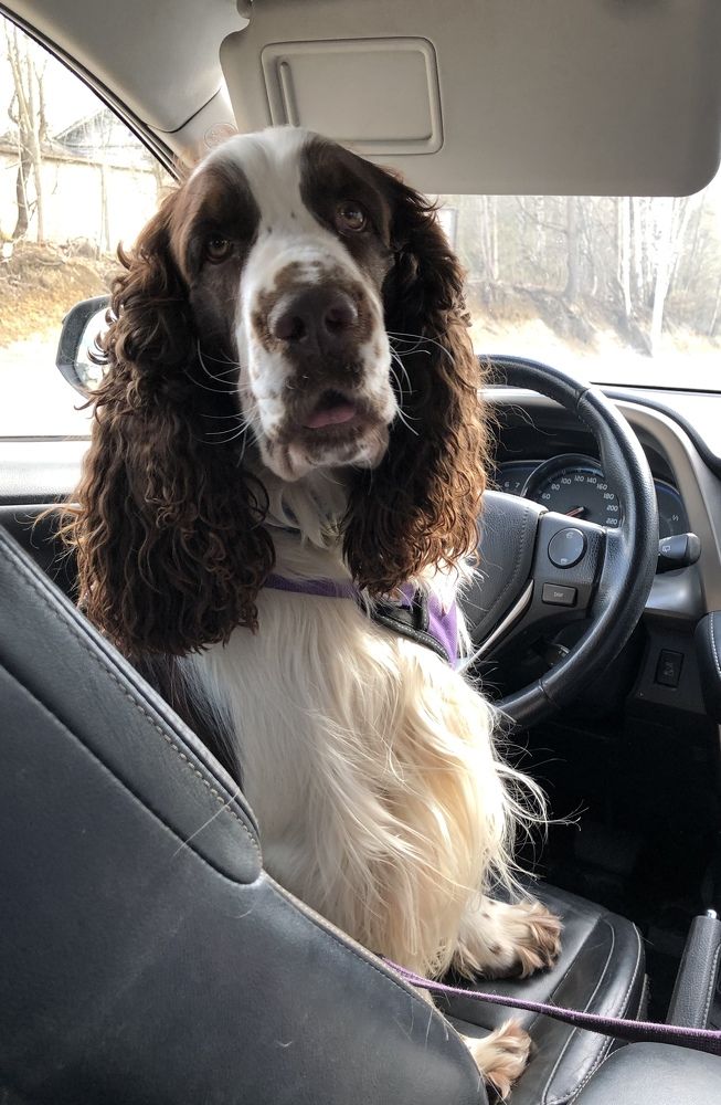 Photograph by Мария Бессмертная