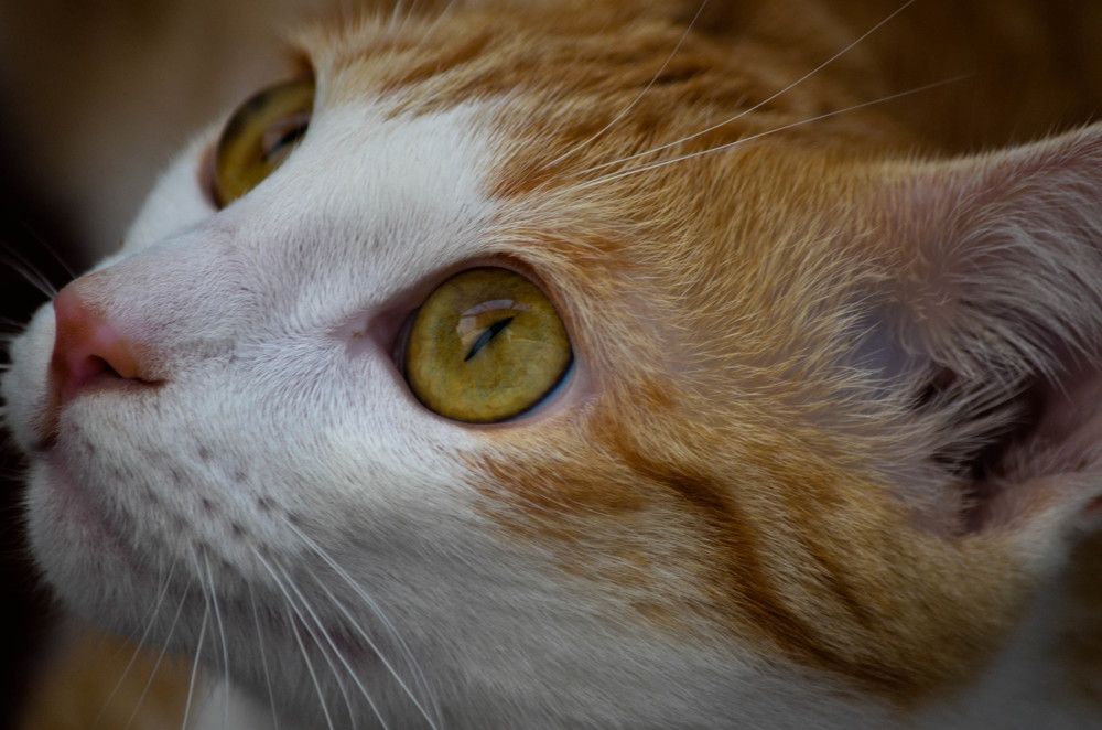 Photograph by Ольга Мокрова